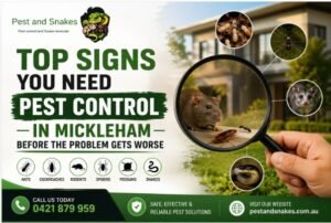 Top Signs You Need Pest Control in Mickleham Before the Problem Gets Worse