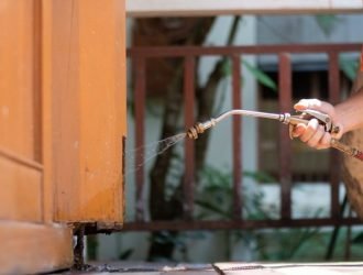 Top-pest-control-services-in-Sunbury