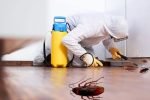 cockroach-pest-control-service